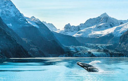 Canadian Rockies & Alaska’s Inside Passage with Collette