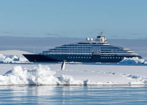 Antarctica Cruise on Scenic Eclipse - Save $9,000 per couple