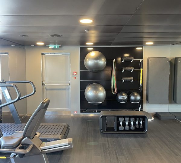 Scenic Eclipse Gym Ball And Pilates Equipment 