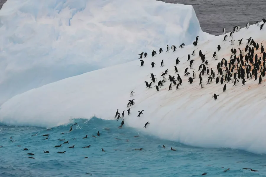 Antarctic Peninsula