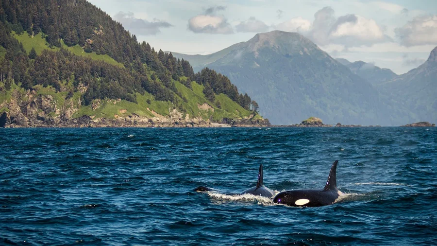 Inside Passage